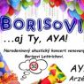 A-Koncert-pre-Borisa.jpg