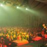 IMG_2885---kopia.jpg