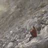 IS4A3603-MOV000194.jpg